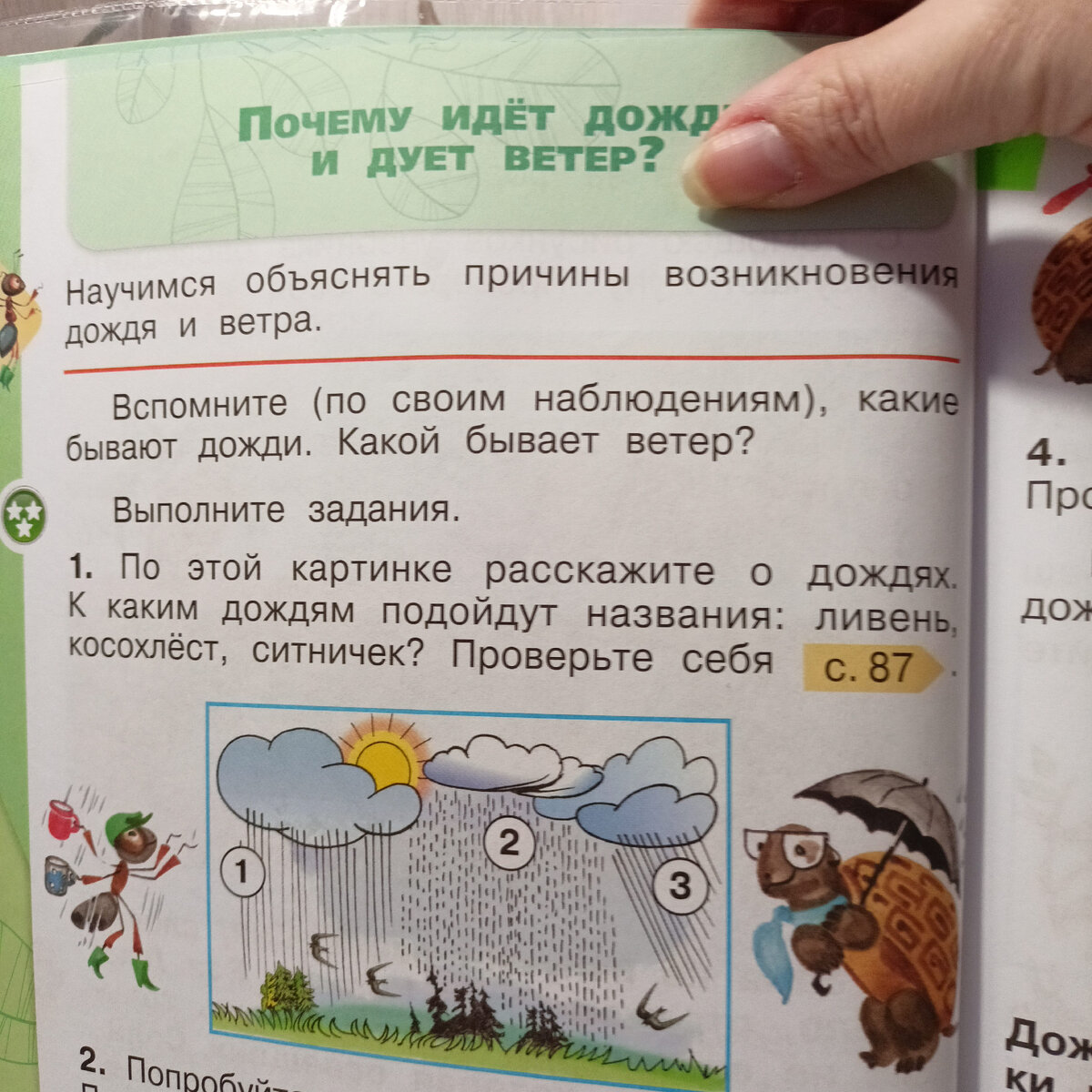 1 класс. Окружающий мир. Мне 42 и я слышу эти слова первый раз в жизни... |  Будни Черной Кошки | Дзен