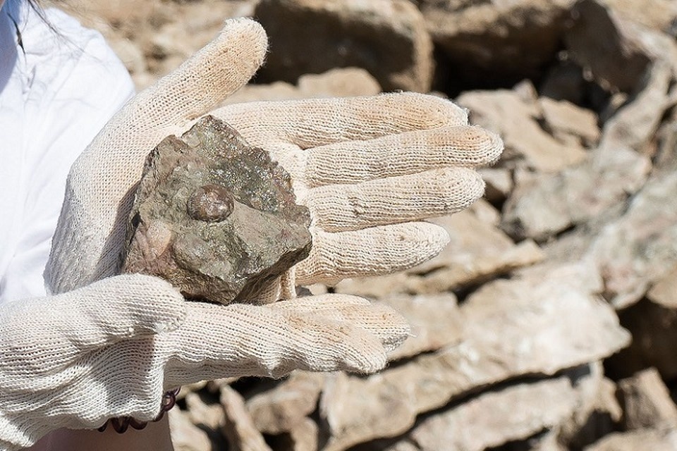     Мужчина пытался угнать машину с помощью камня и отвертки в Хабаровске Юлия ПЫХАЛОВА