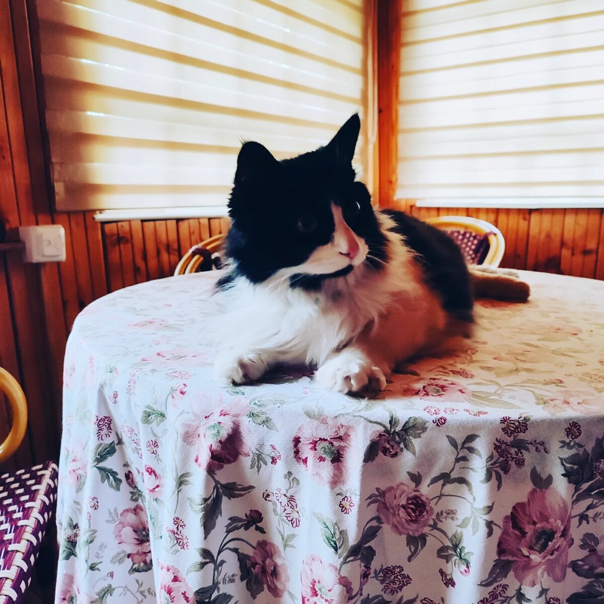 Тëма на даче