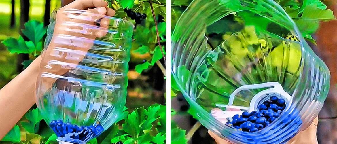 Садовые лайфхаки и полезные советы Часть3