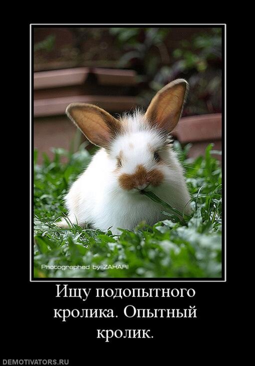 Изображение из открытых источников в интернете