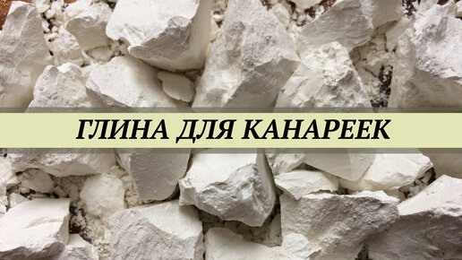 Download Video: Глина для канареек. Как давать глину канарейкам, амадинам, ткачикам. Комнатное или вольерное содержание канареек.