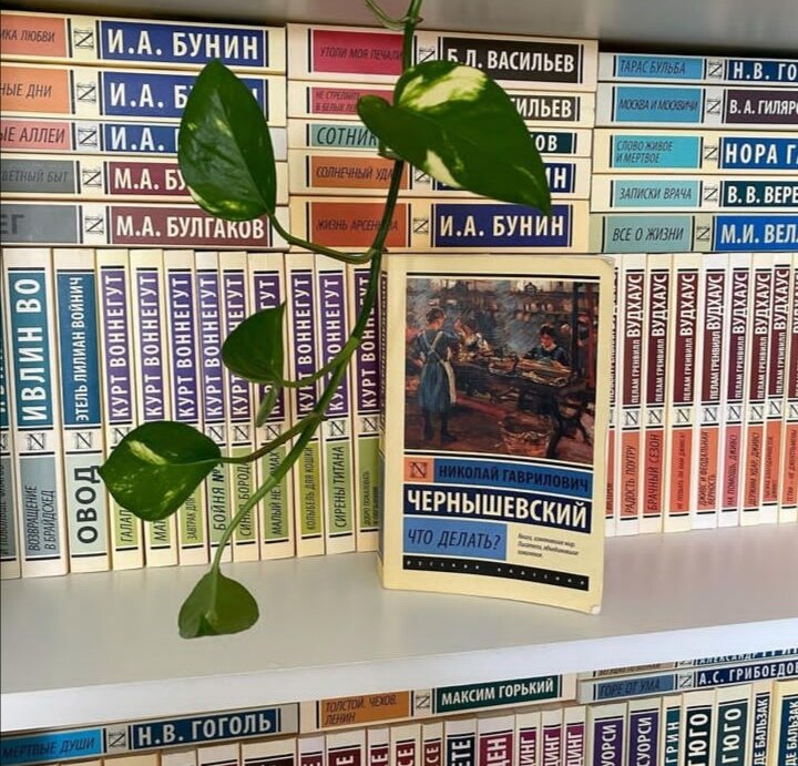 Мать-тиран, новаторские идеи и социализм, любовь, эмансипация женщин? Что это значит ? А это максимально краткое описание книги Чернышевского "Что делать?". 