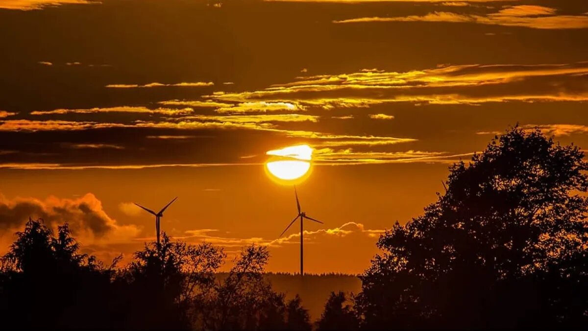 Фото: piqsels.com