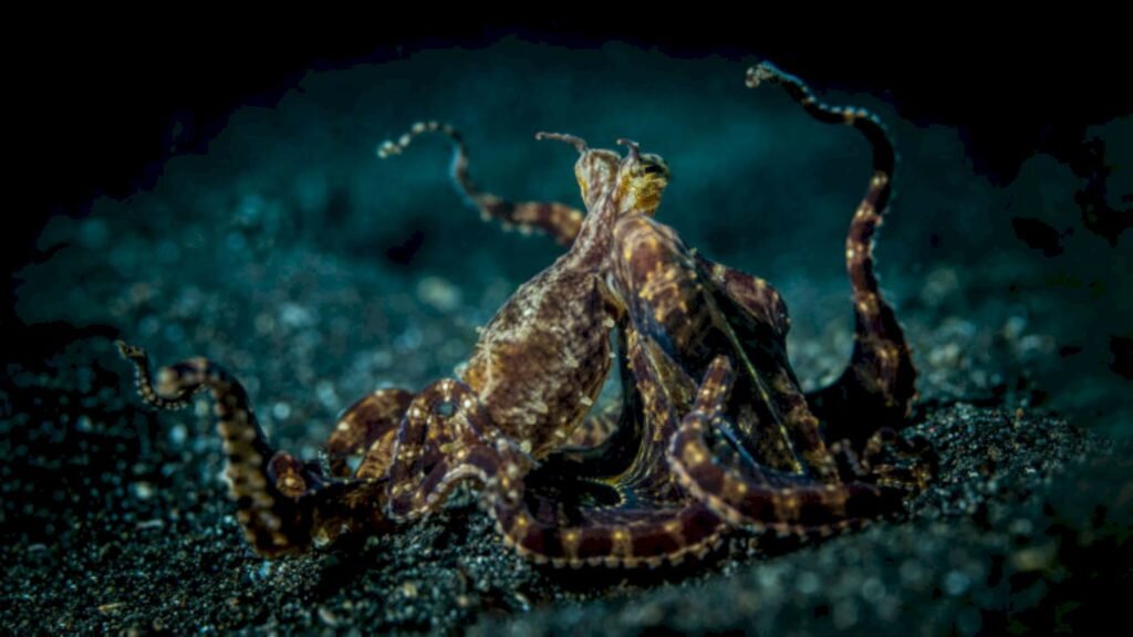     Фото: Tobias Friedrich