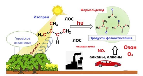 Откуда формальдегид в воздухе. Экологическая оценка производства изопрена. Промышленное получение формальдегида