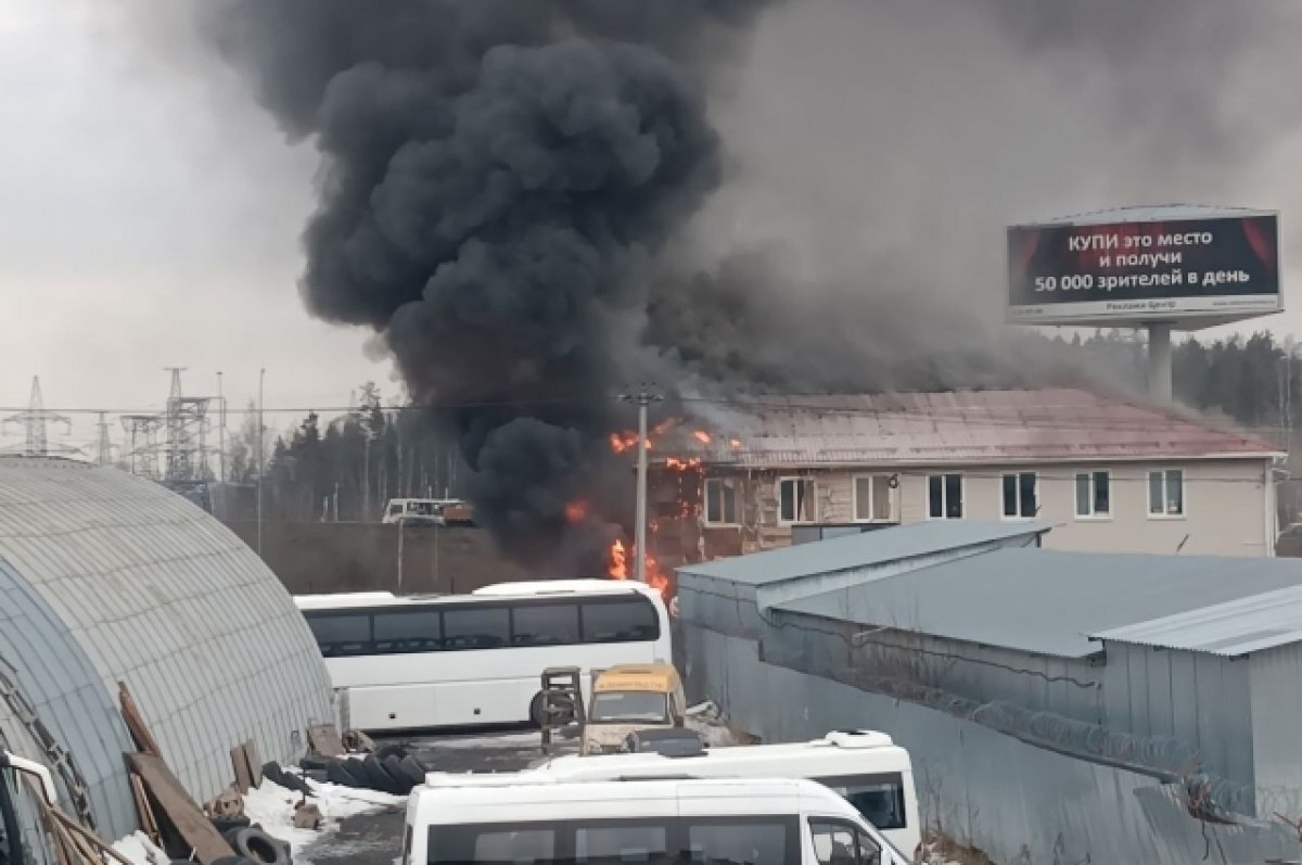    В районе Заневки под Петербургом крупный пожар – горит склад пиломатериалов