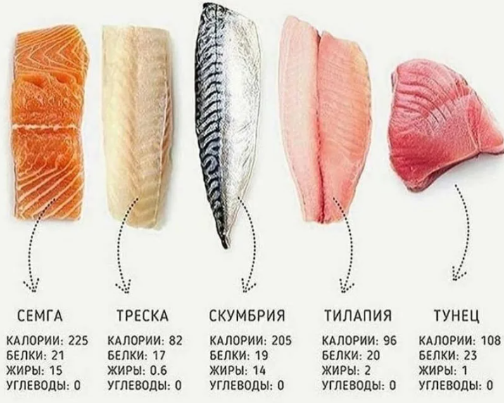 Форель слабосоленая. Лосось рыба ккал. Форель белок на 100. Витамины в форели. Белок в семге.