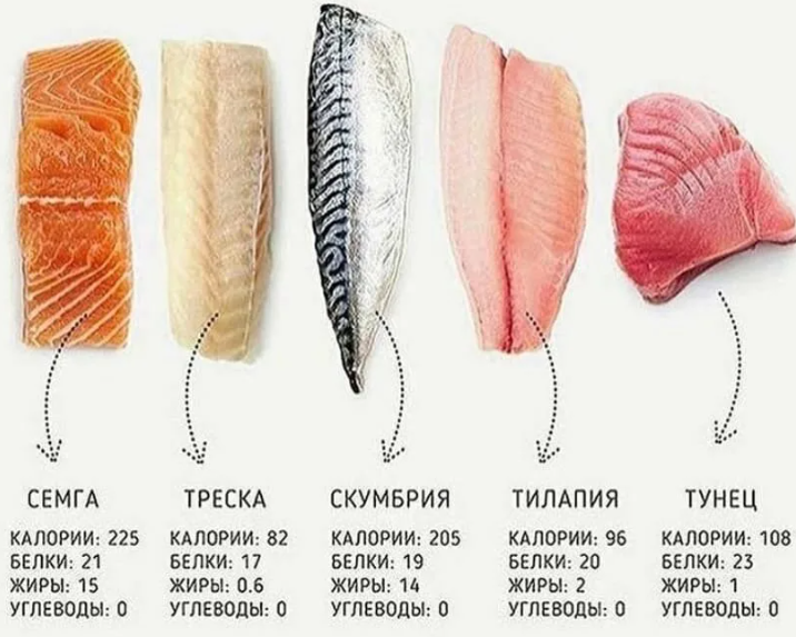 Энергетическая ценность форели. Рыба красная форель 100 грамм. Калорийность красной рыбы. Лосось рыба ккал. Рыба КБЖУ.