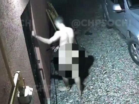     Скриншот видео: t.me/chp_sochi