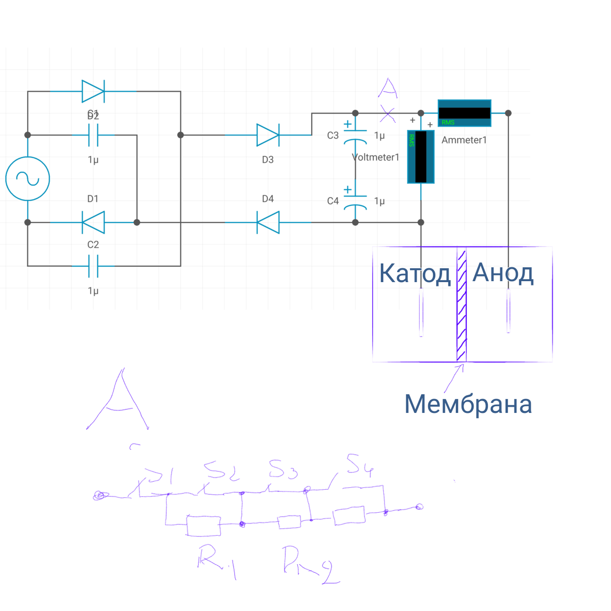 На рисунке показана схема устройства для активации воды. Активированная вода сильно меняет свойства и обладает хорошей биологической активностью. При активации воды электрическим зарядом на аноде образуется кислая среда, а на катоде щелочная с преобладанием ионов ОН которые и дают биологический эффект. Схема не имеет развязки с сетью питания, поэтому пожалуйста соблюдайте осторожность. Тем более что на электродах образуется высокое напряжение. Практически удвоенное, если в сети будет 230 вольт, то на электродах появится около 500 вольт напряжения. К тому же ток не имеет скин эффекта и при прикосновении к электродам голыми руками весь ток потечёт по внутренним органам. Достаточно будет десяти миллиампер тока чтобы была угроза жизни. Поэтому ещё раз соблюдать осторожность. Теперь о процессе работы устройства. Ток проходящий через умножитель напряжения проходит через защитные диоды и накапливается на конденсаторах. Затем проходит на электроды и под воздействием слабого тока происходит электролиз воды. Мембрана которая отделяет пространство между анодом и катодом, делается из целофана, брезента или кожаного материала. Не даёт смешиваться жидкости, но при этом пропускает свободно ионы воды через себя. Электроды можно изготовить из стали в составе которой присутствует хром,никель, титан например такая как 44нхтю или 36нхт и тому подобное. Можно сделать из графита. Идеально конечно из платины, но это дорого. Установив краник в анодном и катодном пространстве можно сливать воду после активации. Активируйте воду в течении десяти минут этого достаточно для начальной активации воды. Ток можно регулировать если подключить в точка А простой регулятор тока показанный на схеме. Переключением тумблеров можно задать необходимый ток, если это необходимо. Теперь о том как воздействует вода взятая из катодного пространства. Если полить такой водой растения, они получают мощный электролит, который благотворно влияет на биохимические процессы внутри клеток. Напротив вода из под анодного пространства губительно влияет на микроорганизмы и грибы. Вода имеет активность в течении нескольких минут, пока ионы ОН полностью не нейтрализуются. Это очень хорошая вода, на основе которой можно создать милицелярную воду для умывания кожи. Такая вода хорошо нейтрализует повышенную кислотность желудка и может помочь при изжоге. Для полива растений эта вода очень хороша. Главное не делать её сильно щелочной. Побрызгав на листья растений и поливая катодной водой под корень, вы создадите хорошее стимулирование для питания клеток. Обработку такой водой можно проводить через три четыре дня по листу и каждую неделю через почву. Эффект от одного раза обработки длится до 12 часов у растений и от получаса и несколько часов у грибов. 