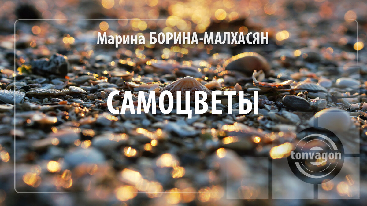 Стихотворение участвовало в конкурсе проекта ТОН-ВАГОН