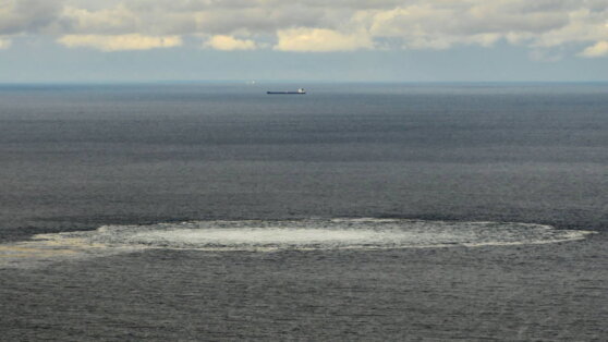    Полянский назвал КНР соавтором проекта резолюции РФ по Nord Stream Сергей Бунеев