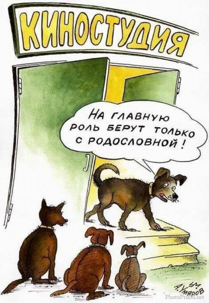 Почему людей, которых любят животные, ценят окружающую природу и других людей больше?