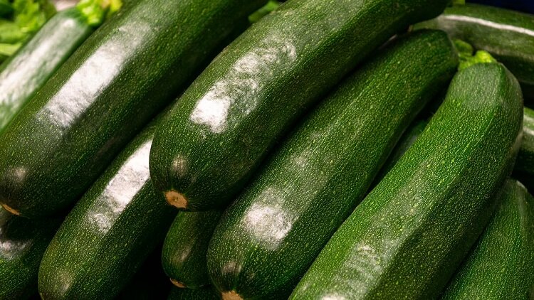    Как вырастить идеальные кабачки