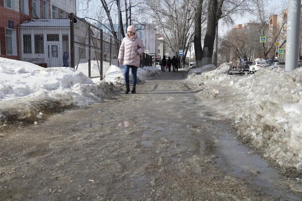     К делегации могут присоединиться жители района и активисты. Ксения Высотина