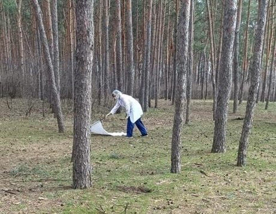     Фото из телеграм-канала городского управления экологии  Предоставлено