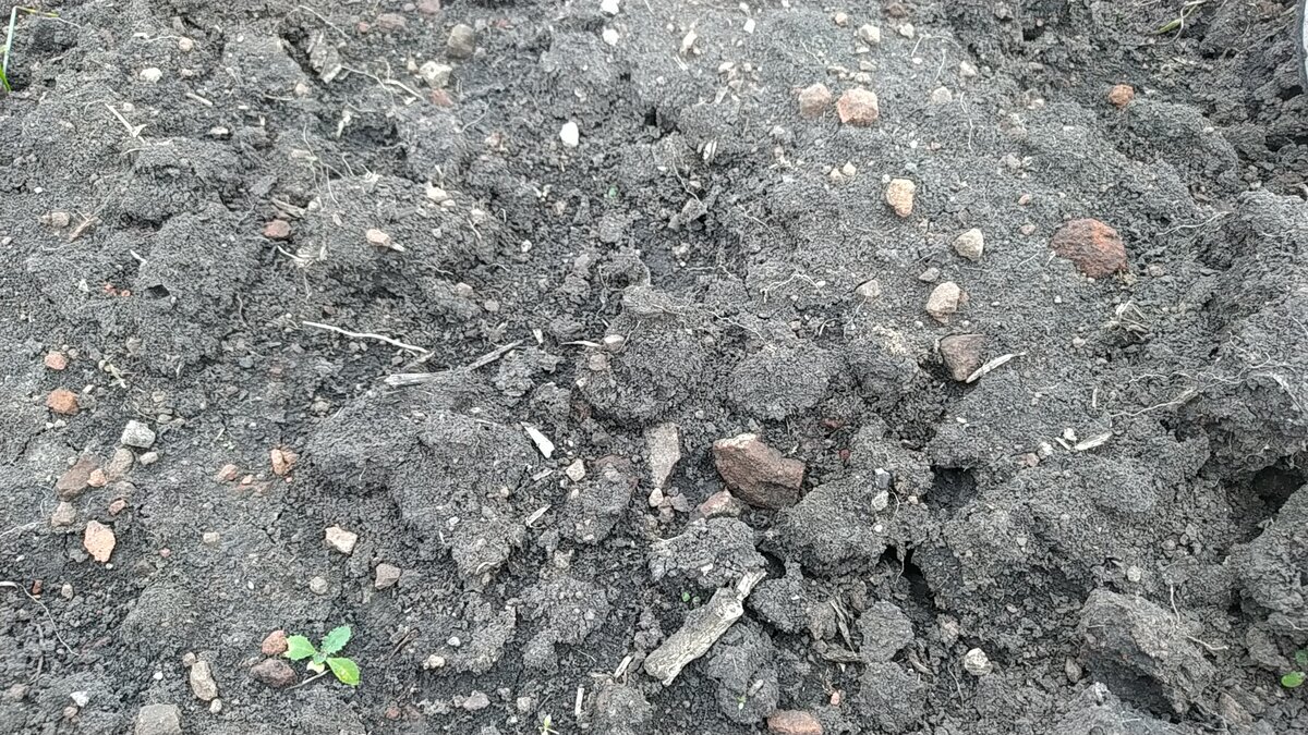 Распаханные фундаменты