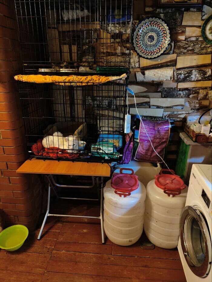 Листайте вправо, чтобы увидеть больше изображений