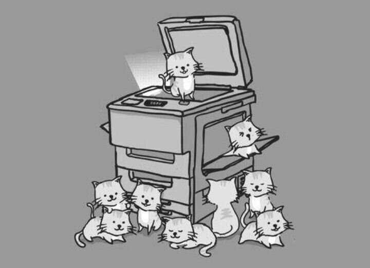 Яндекс картинки 