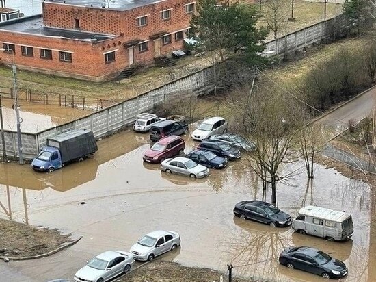   Соцсети