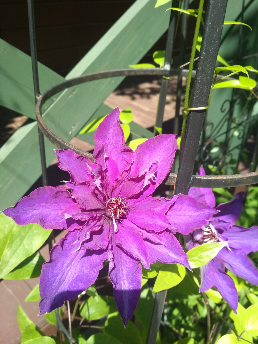 Этот обелиск сделан из полосы. 