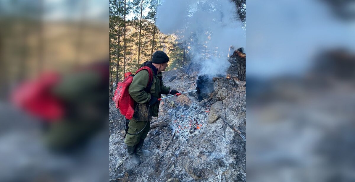 Новости республика алтай банкфакс. Пожары в Республике Алтай. Лесные пожары. Лесной пожар фото. Пожар весной.