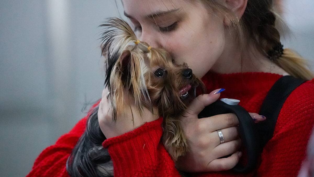    Фото: Пелагия Тихонова / АГН Москва