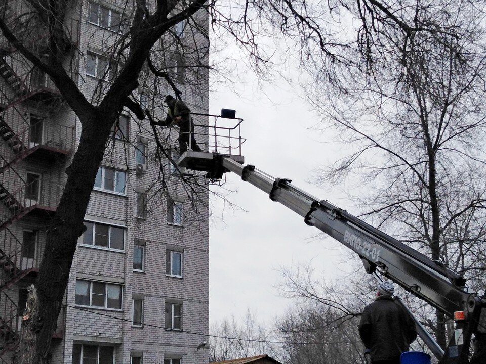     Фото мэрии Воронежа  Предоставлено