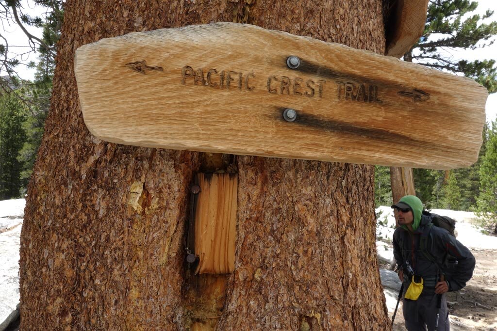 Фото: https://www.pcta.org/