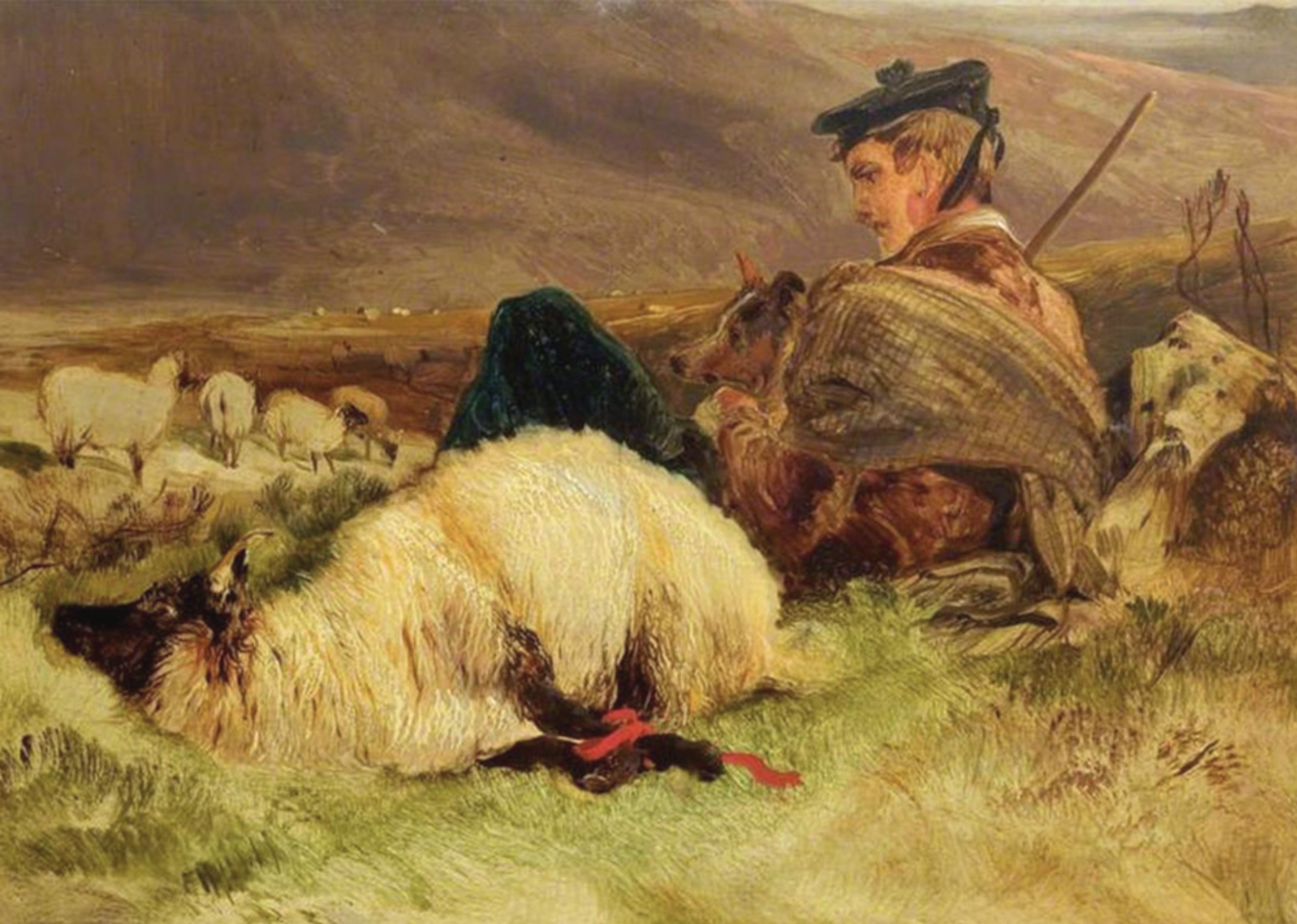 Пастух картина. Edwin Henry Landseer (1802–1873). Эдвин Генри Ландсир произведения. Шотландский пастух. Edwin Landseer Наброски.