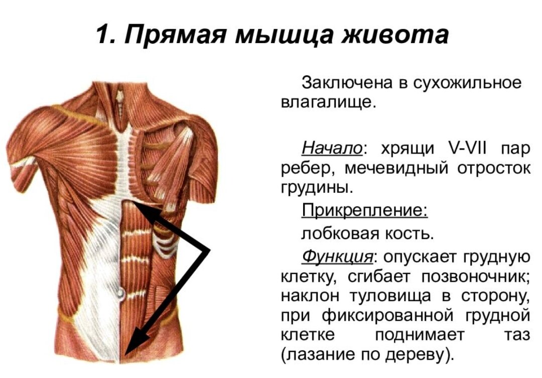 https://elenaportnova.ru/wp-content/uploads/a/7/9/a7914ff85c072f86b41a7a7e844a0826.jpeg
