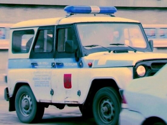     Фото: Василий Осипов / "МК в Черноземье"