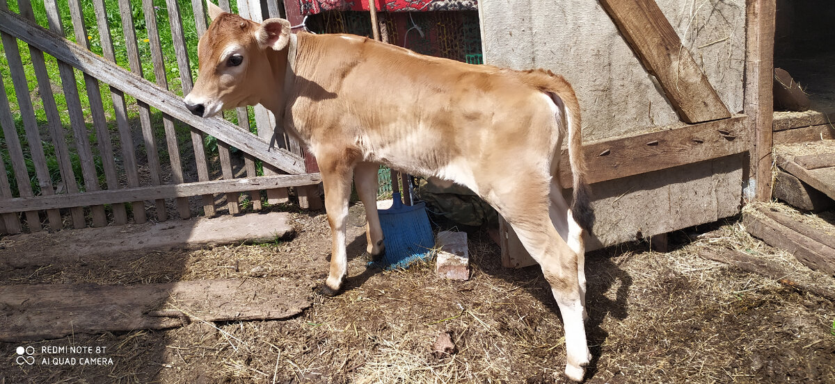 Такой она приехала.