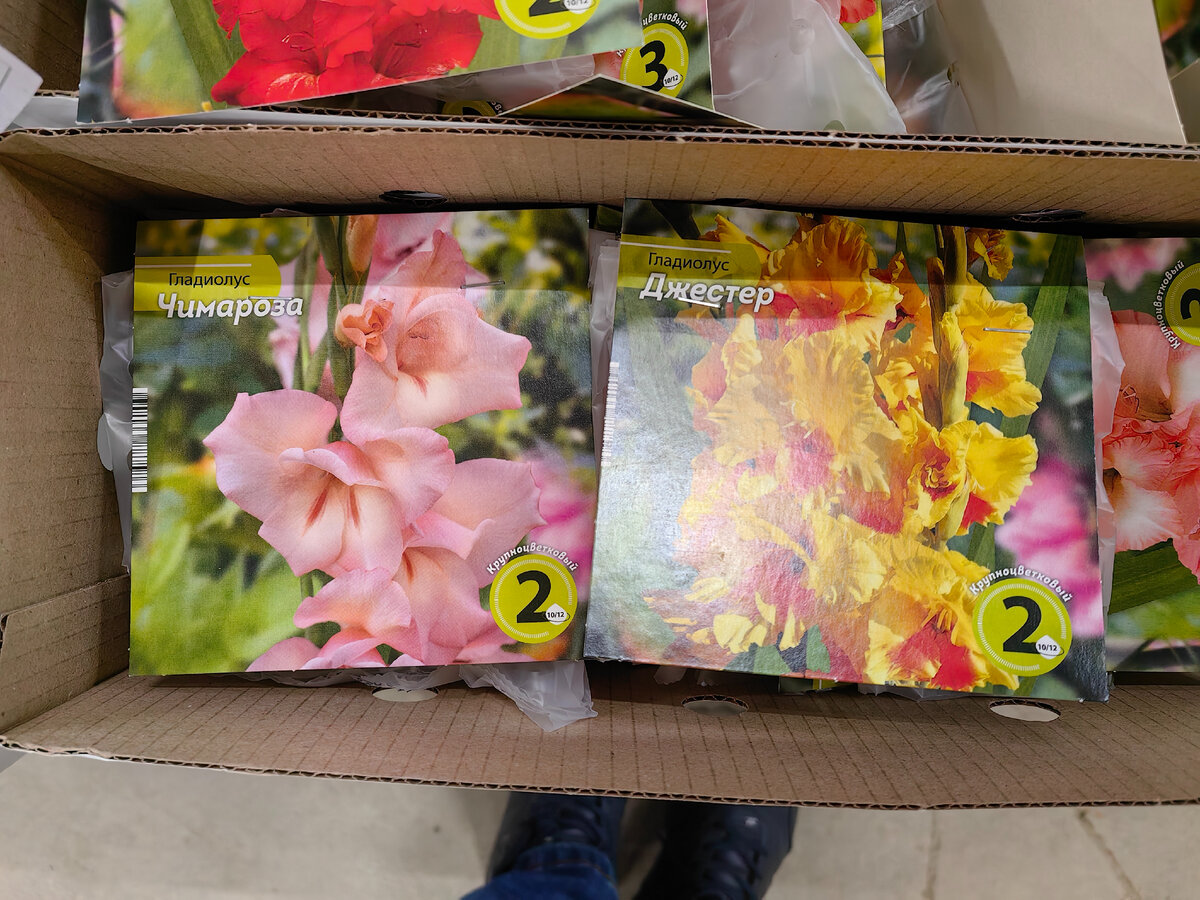 Маяк и Светофор. Сравним-ка ассортиент саженцев. Ну и в музей заглянем ...