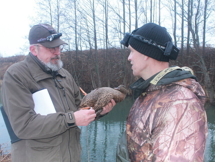     Фото Сергея Фокина