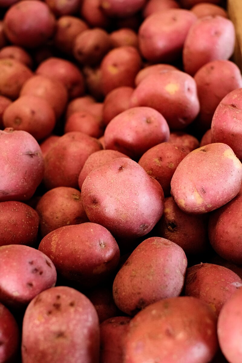 Самые вкусные и красочные сорта картофеля - выбирайте для своего огорода