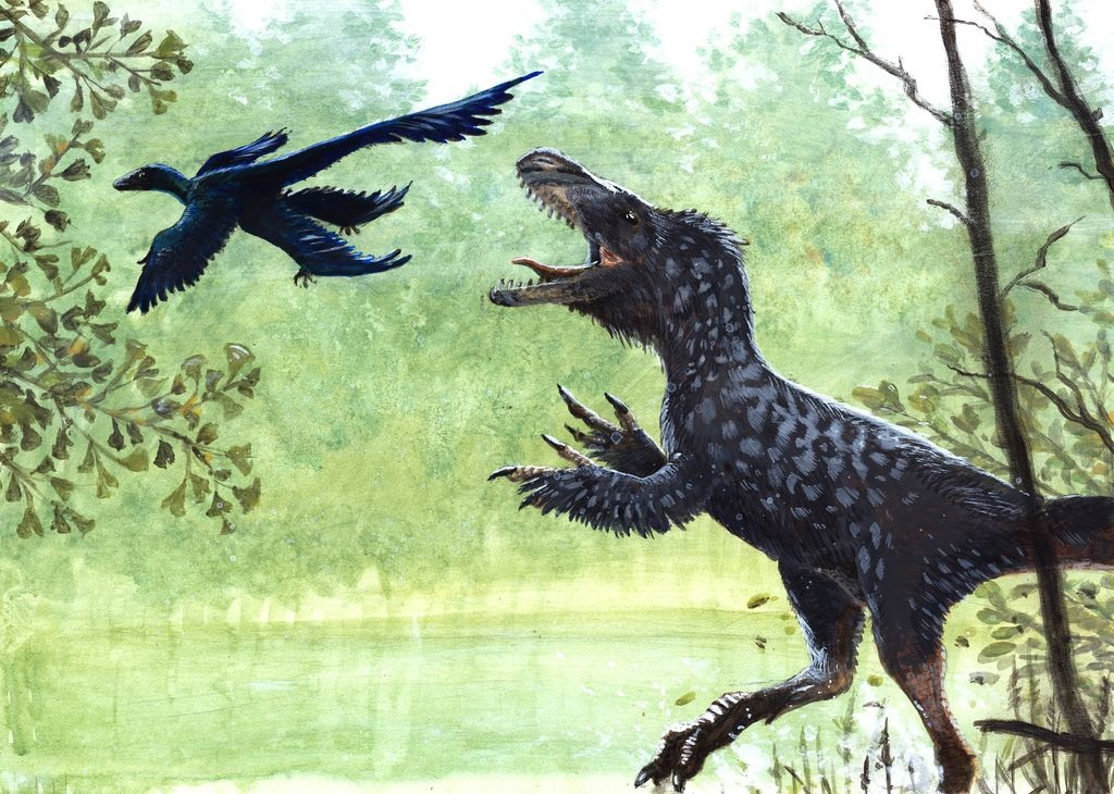 Эй, чел, у меня тоже перья есть. Научи летать! 