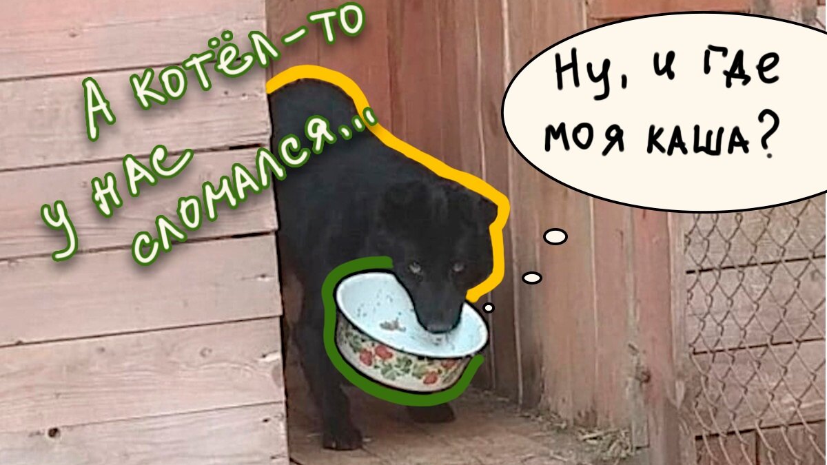 Все фото в тексте — автора