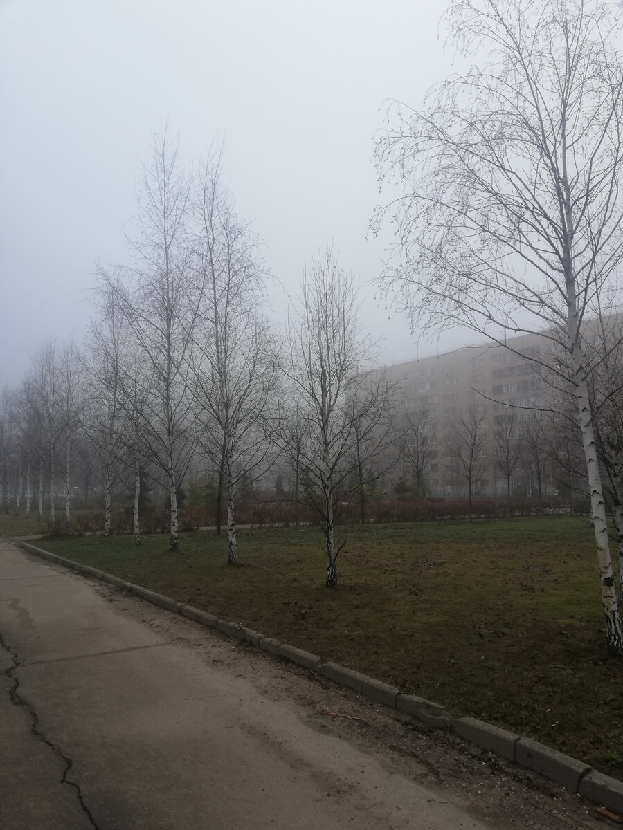 Сегодня утром опустился туман