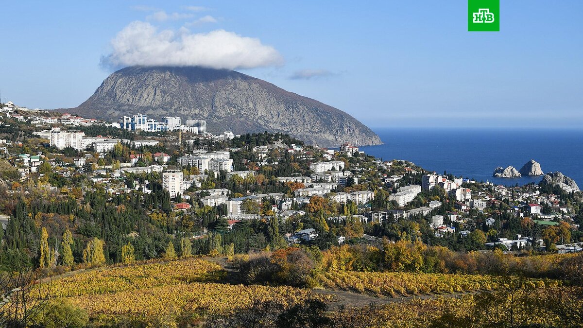    Фото: РИА Новости © 2023, Константин Михальчевский