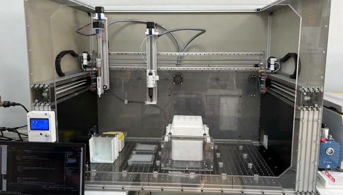 Фото: INVESTTyumen