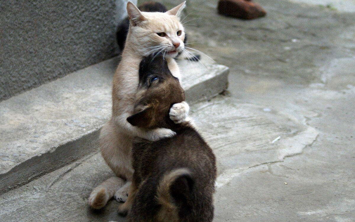 Нужно ли возвращать тех, с кем уже расстался. Отвечает психотерапевт Ставрополя