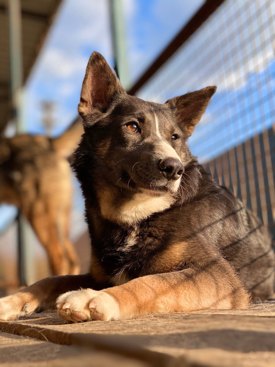 Красавец, что тут добавить?