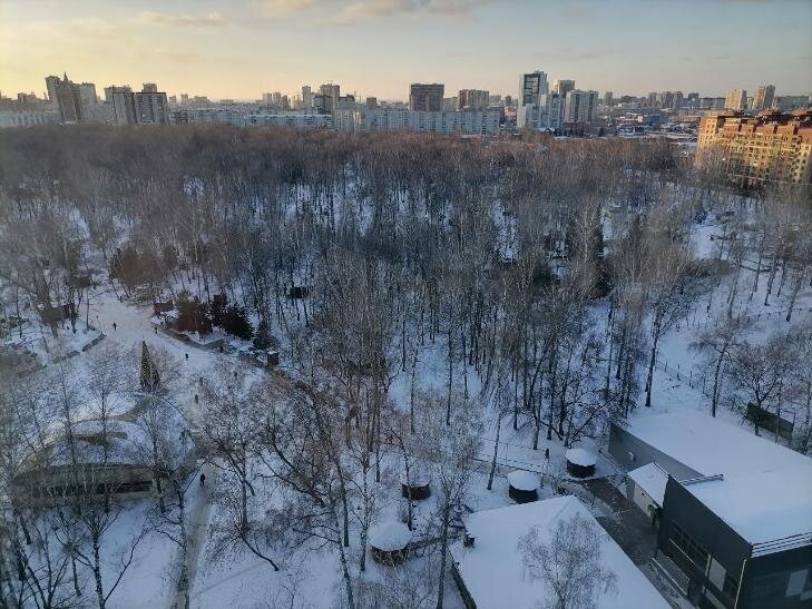    Вот так парк «Березовая роща» выглядит из окна 15 этажа. Фото VN.ru