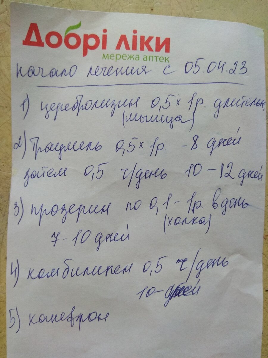 Котенок Бусинка: волонтер очень вовремя занялась судьбой котенка | Блог  #Мими_кися | Дзен