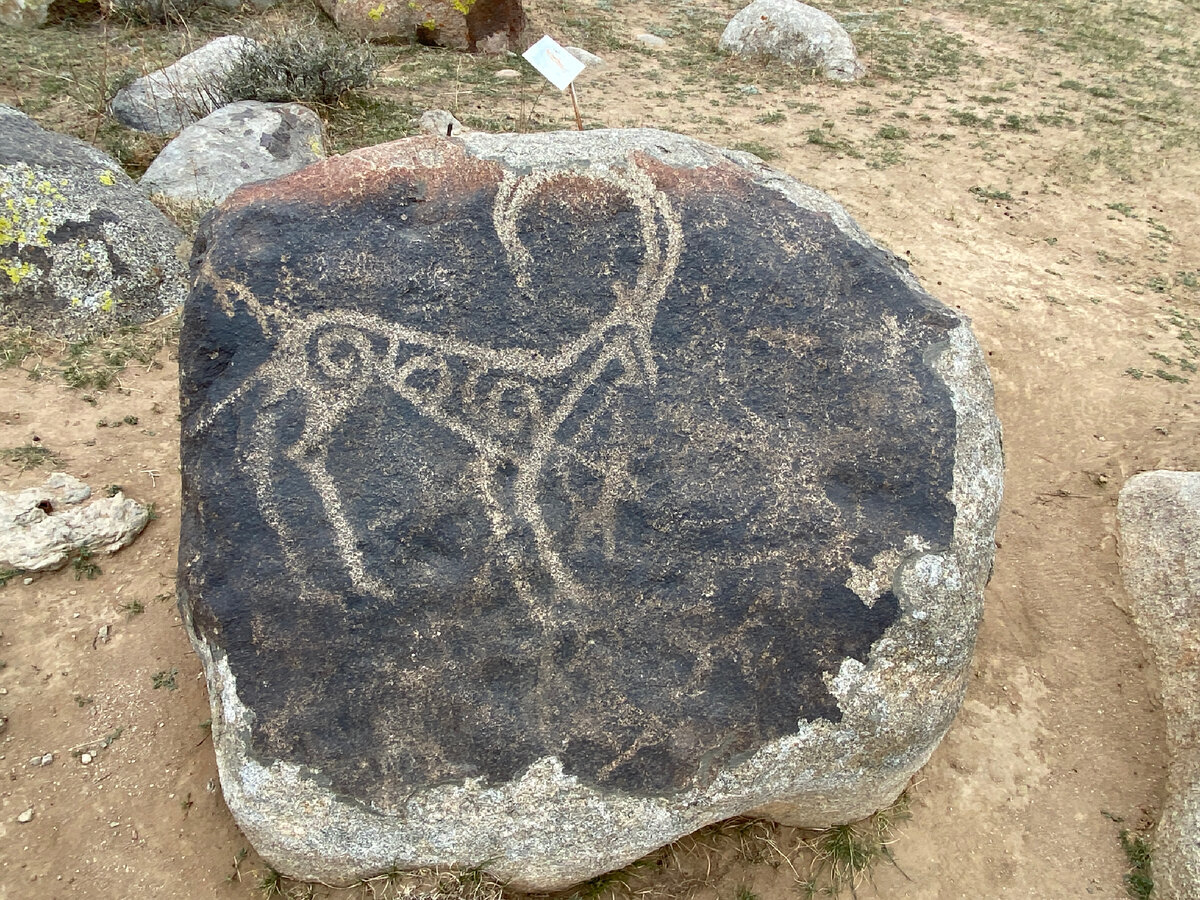 Сцена охоты (лучника я нашёл не сразу) | Личное фото