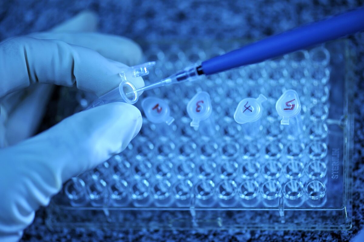 Генная терапия. ВиталисЛаб