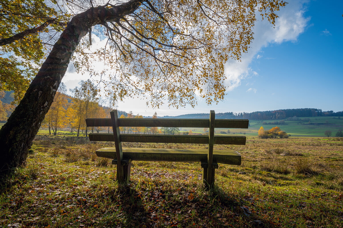 <a href="https://ru.freepik.com/free-photo/beautiful-shot-of-a-lonely-bench-in-a-valley-on-a-sunny-autumn-day_9932397.htm#query=%D0%B4%D0%B5%D1%80%D0%B5%D0%B2%D0%B5%D0%BD%D1%81%D0%BA%D0%B8%D0%B9%20%D0%BF%D0%B5%D0%B9%D0%B7%D0%B0%D0%B6&position=6&from_view=search&track=ais">Изображение от wirestock</a> на Freepik