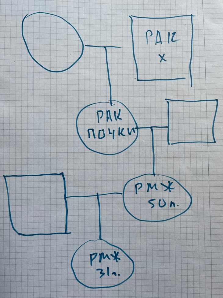 Родословная моей пациентки, рак выявлен в возрасте 31 г. Круги – женщины, квадраты – мужчины. У прадедушки рак неуточненной локализации, проявился метастазами в позвоночнике. У бабушки рак почки. У мамы рак молочной железы в 50 лет.